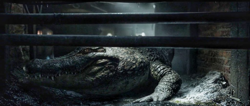 Alligator crawl film critique